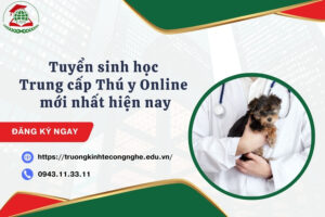 Tuyển sinh học Trung cấp Thú y Online mới nhất hiện nay