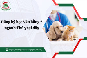 Đăng ký học Văn bằng 2 ngành Thú y tại đây