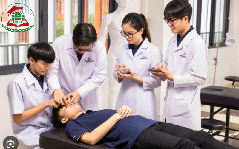 Lộ trình học Cao đẳng Y học cổ truyền cho người bận rộn