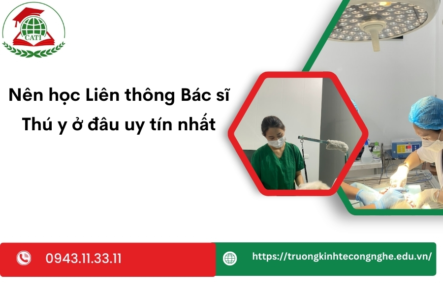 Nên học Liên thông Bác sĩ Thú y ở đâu uy tín nhất