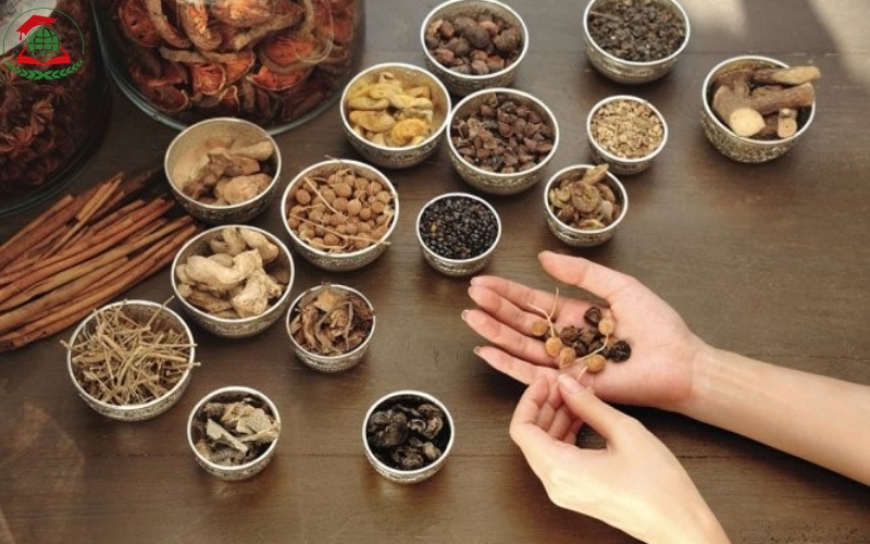 Thông tin xét tuyển học Trung cấp Y học cổ truyền