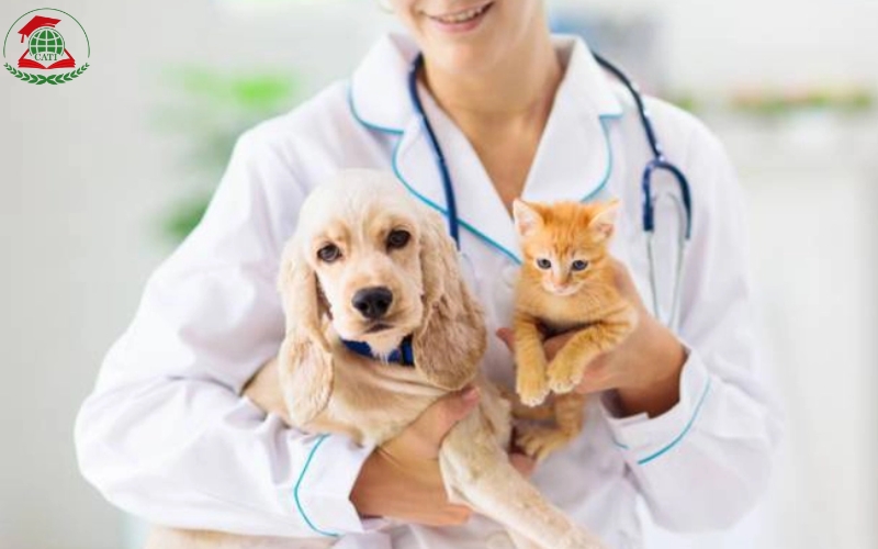 Vì sao nhiều người chọn học Cao đẳng ngành Thú y?