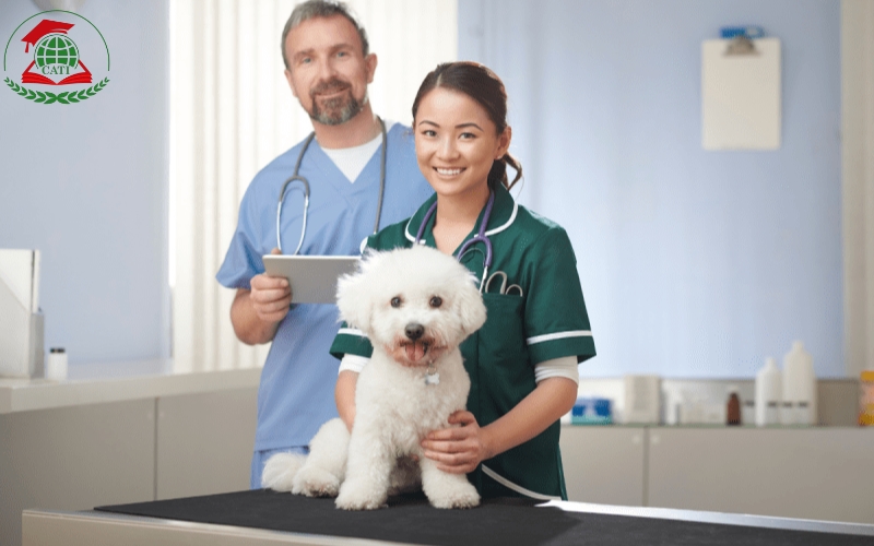 Học Cao đẳng Thú y từ xa có chỉ là lý thuyết?