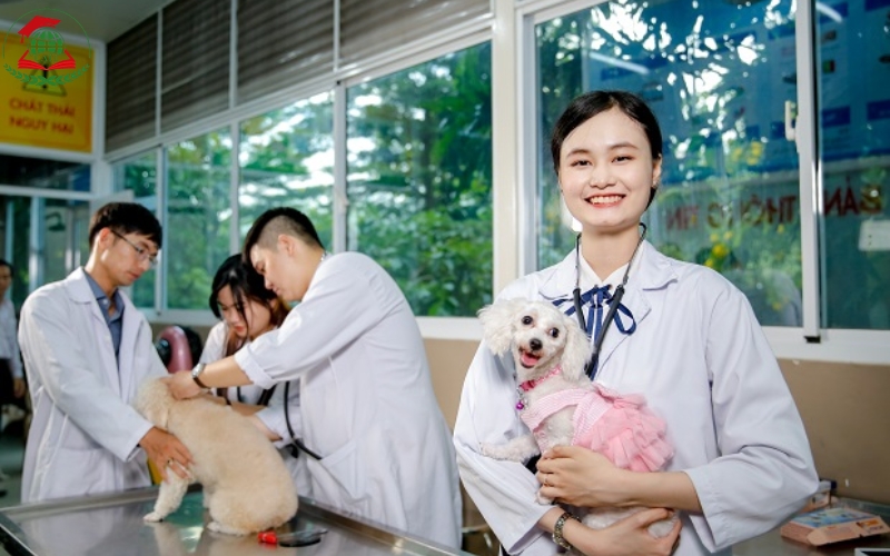 Lịch học Văn bằng 2 ngành Bác sĩ Thú y dành cho người đi làm