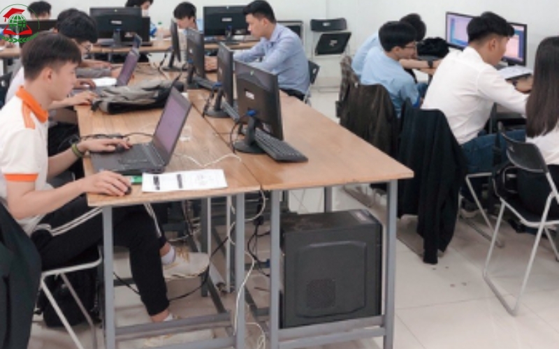 Mức lương ngành Quản trị mạng máy tính có cao không?