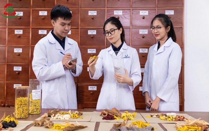 Trường đào tạo Văn bằng 2 ngành Y học cổ truyền uy tín