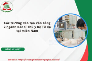 Các trường đào tạo Văn bằng 2 ngành Bác sĩ Thú y hệ Từ xa tại miền Nam