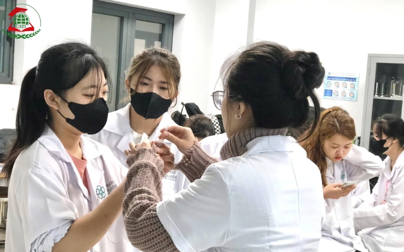 Cao đẳng học online có bằng Chính quy không?
