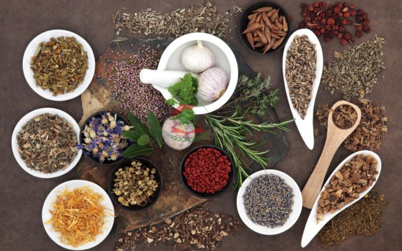 Học ngành Y học cổ truyền có khó không, học những gì?