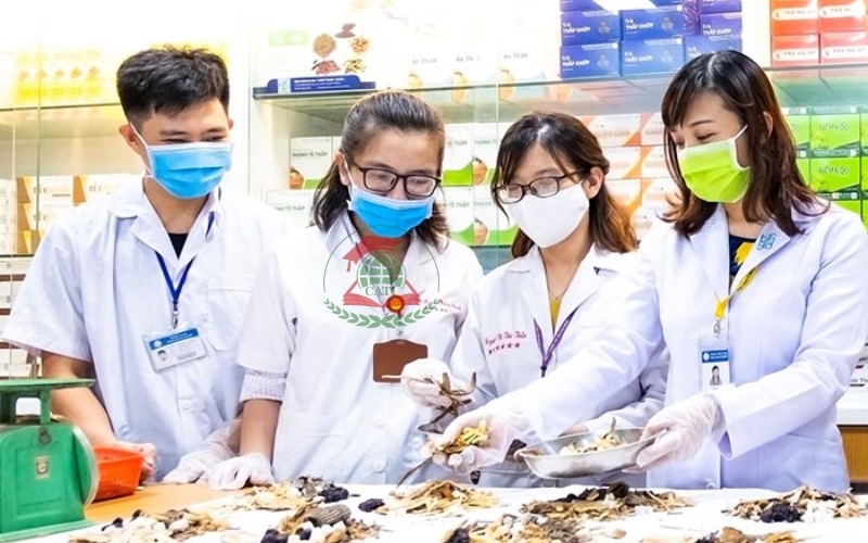 Học phí liên thông ngành Y học cổ truyền khoảng bao nhiêu?