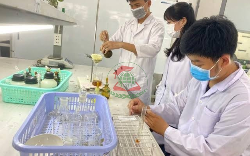 Học Trung cấp Dược trực tuyến có được cấp bằng không?