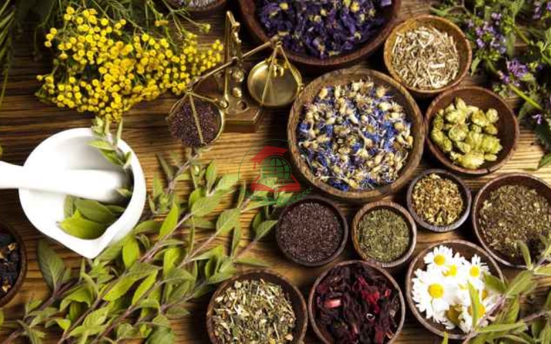 Bận đi làm có thể học lấy bằng Trung cấp Y học cổ truyền không?