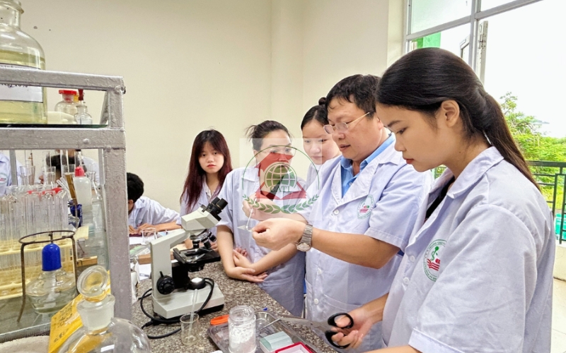 Bằng Dược sĩ online có thể xin việc ở đâu sau khi tốt nghiệp?