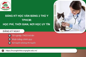 Đăng ký học Văn bằng 2 Thú y TPHCM: Học phí, Thời gian, Nơi học uy tín