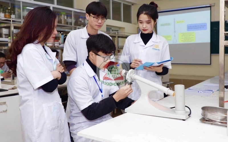 Học Dược sĩ online có được cấp bằng chính quy không?