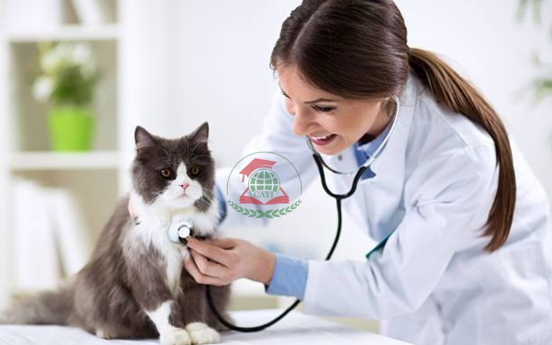 Học phí Văn bằng 2 Thú y TPHCM bao nhiêu?