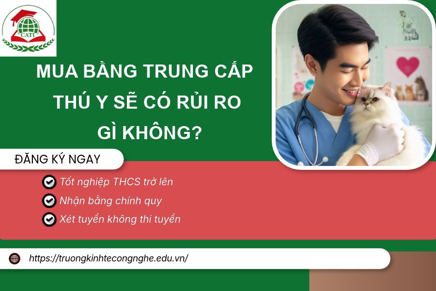 Mua bằng Trung cấp Thú y sẽ có rủi ro gì không?