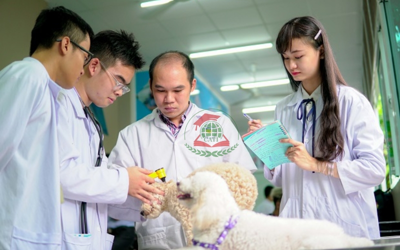 Nơi học Văn bằng 2 Thú y TPHCM uy tín